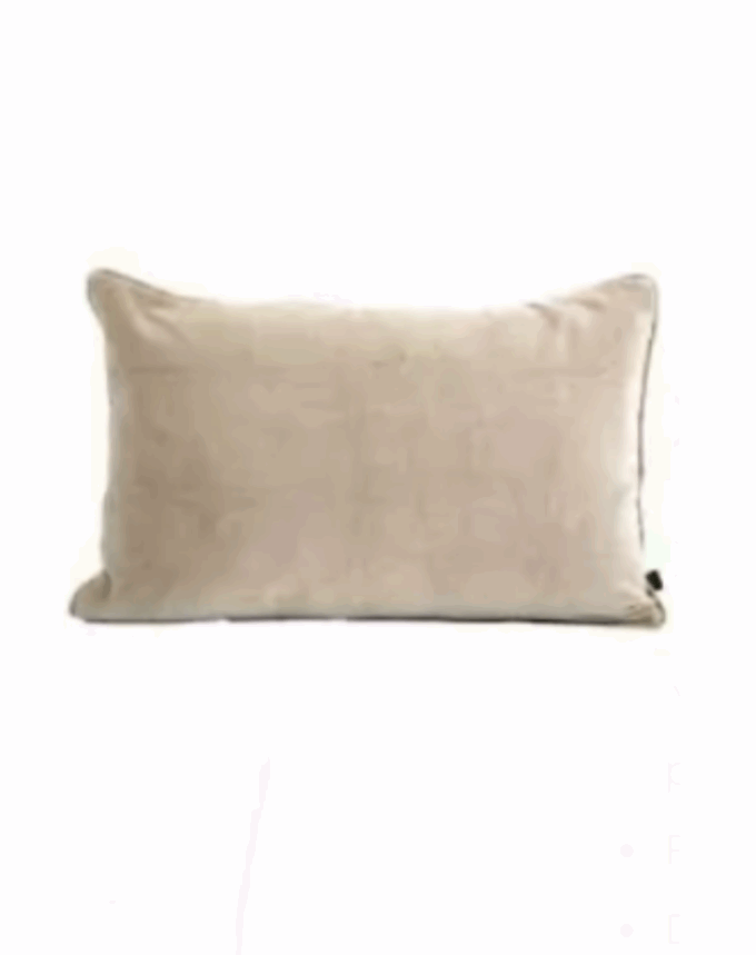 coussin 40x60 Velours New Delhi